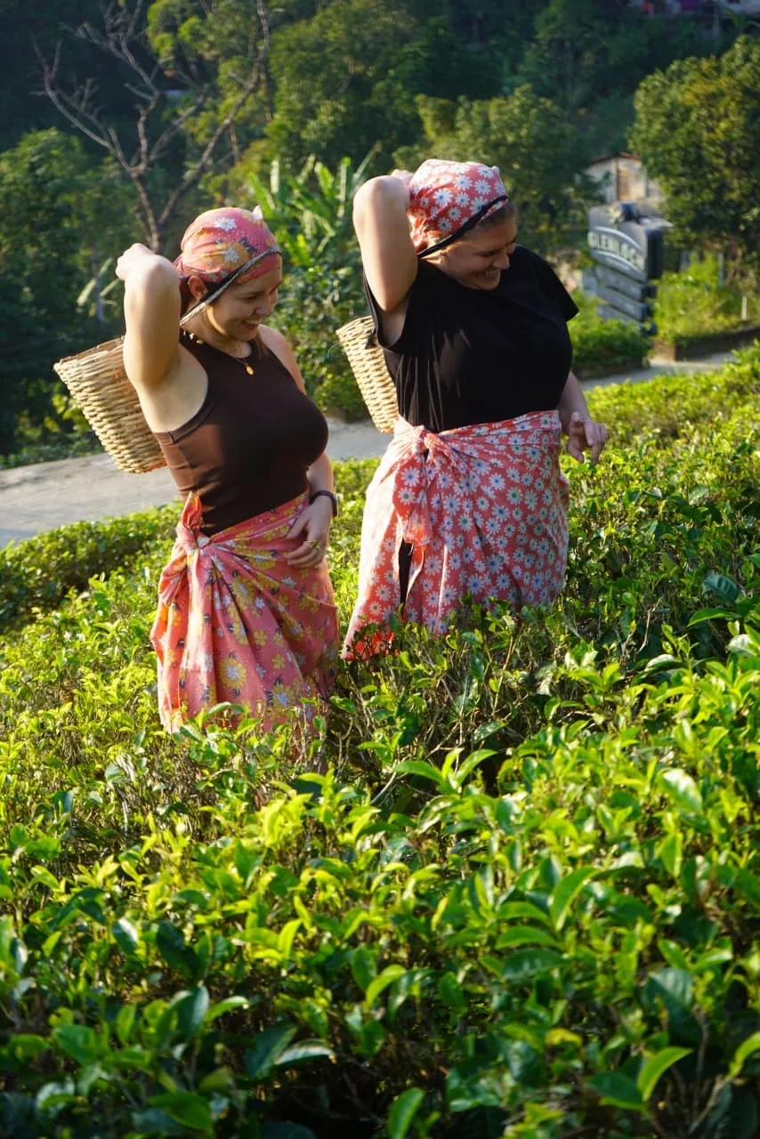 Guest photograph from a Haleem Lanka Tours trip